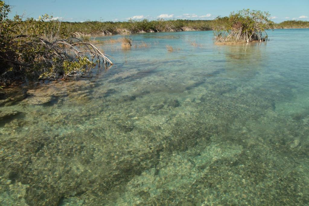 Casa China Bacalar Hotel Zewnętrze zdjęcie