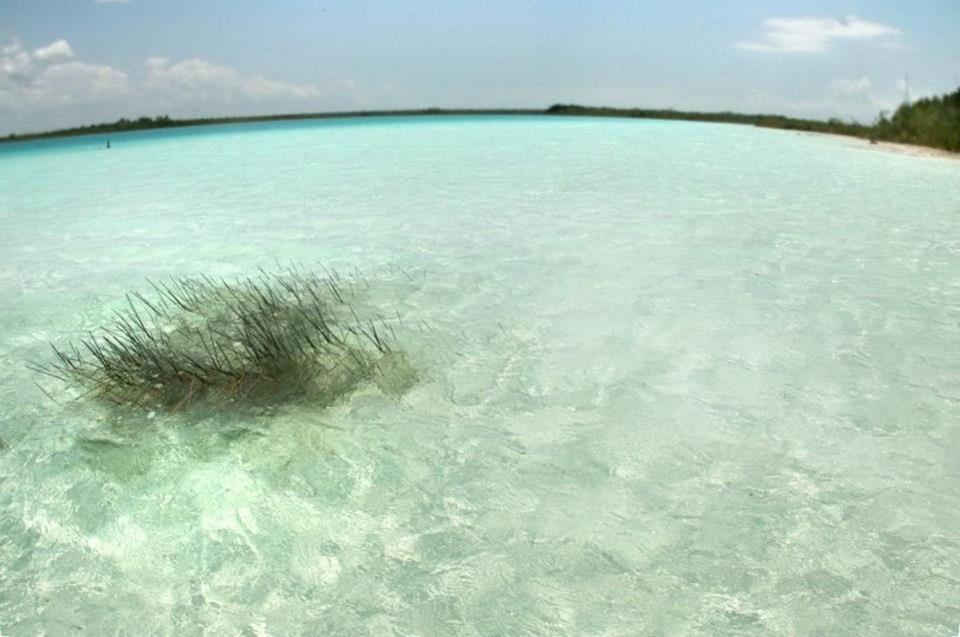 Casa China Bacalar Hotel Zewnętrze zdjęcie